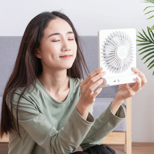 Creative Mini USB Rechargeable Desk Fan - Neutral Office